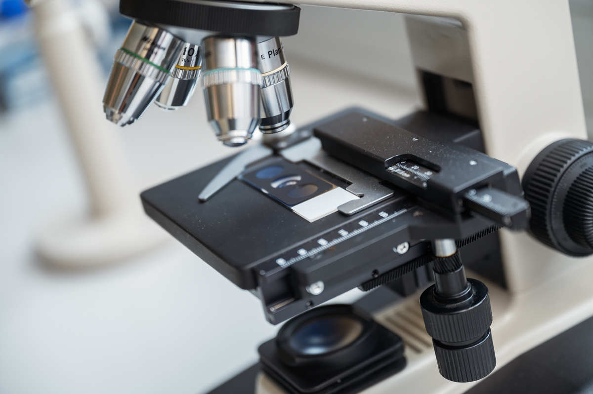 29 Sparkling Science